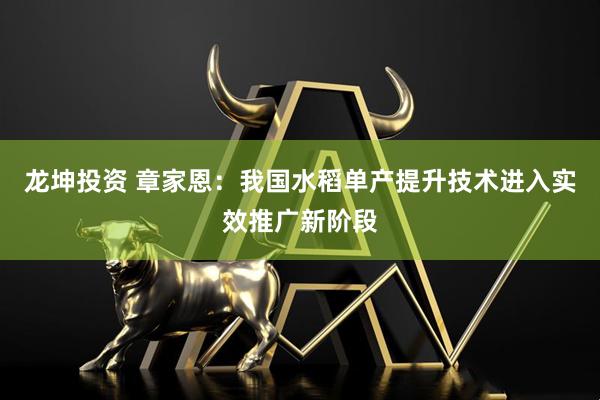 龙坤投资 章家恩：我国水稻单产提升技术进入实效推广新阶段