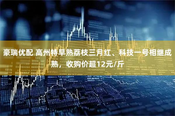 豪瑞优配 高州特早熟荔枝三月红、科技一号相继成熟，收购价超12元/斤