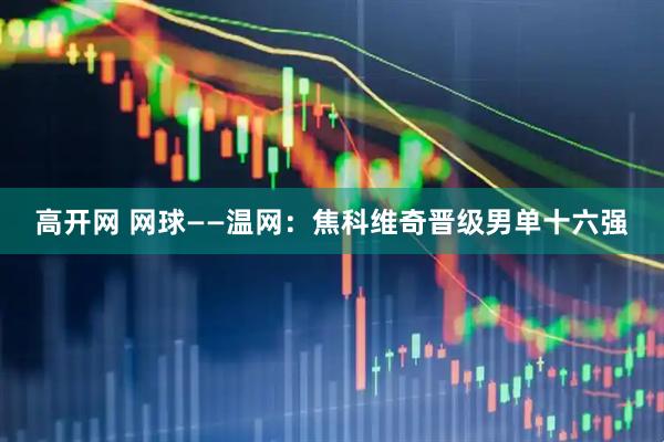 高开网 网球——温网：焦科维奇晋级男单十六强