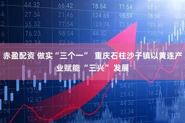赤盈配资 做实“三个一”  重庆石柱沙子镇以黄连产业赋能 “三兴” 发展