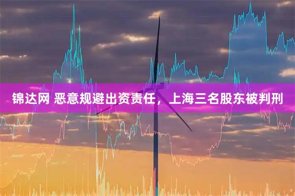 锦达网 恶意规避出资责任，上海三名股东被判刑
